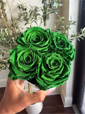 Infinity Roses in Emerald Green